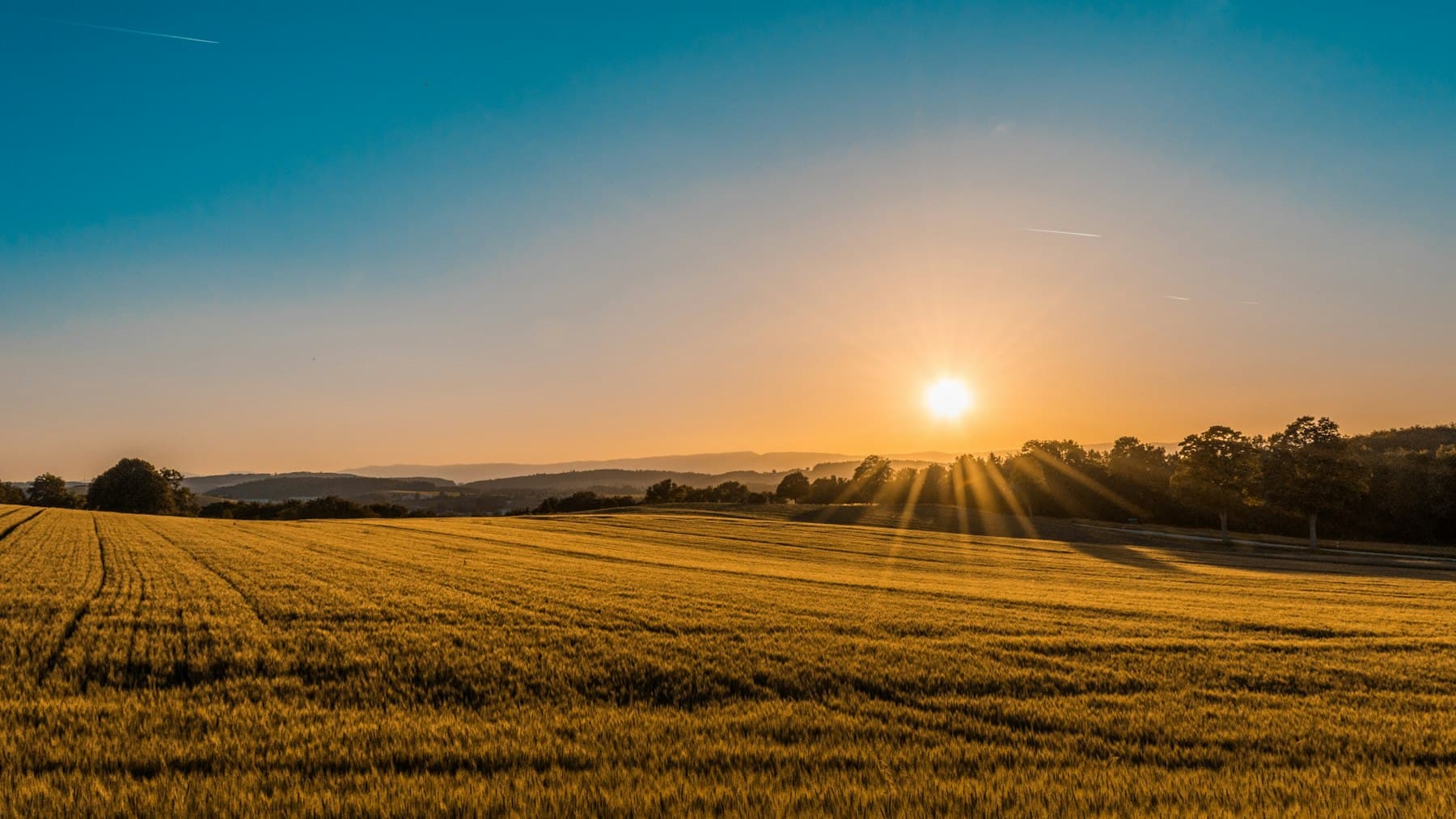 Golden fields under a wide open sunset sky